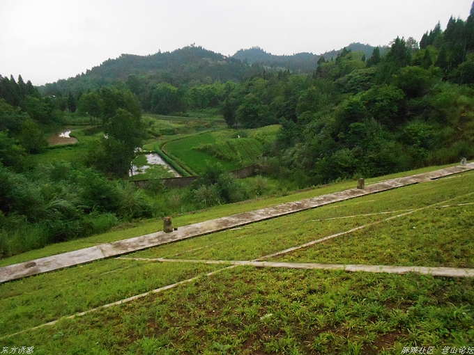 DSCN4403.jpg
