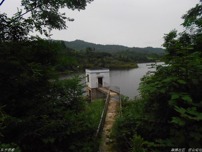 DSCN4411.jpg
