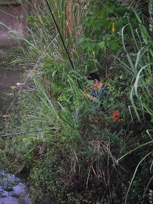 DSCN4415.jpg