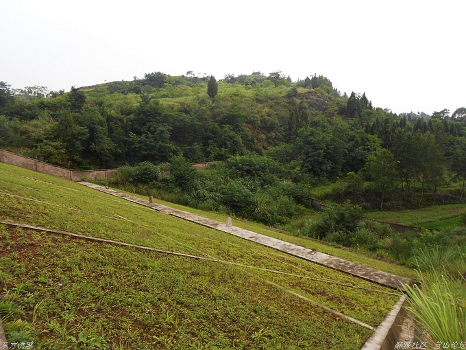 DSCN4427.jpg