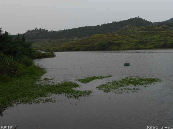 DSCN4429.jpg