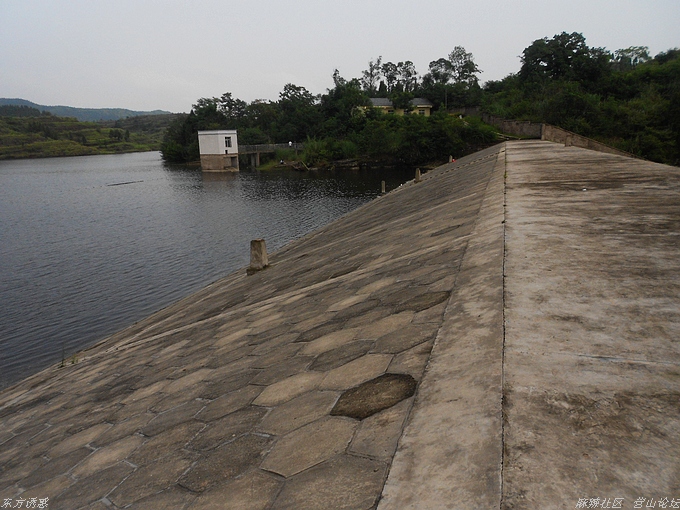 DSCN4430.jpg