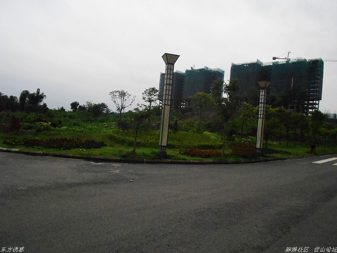 DSCN4370.jpg