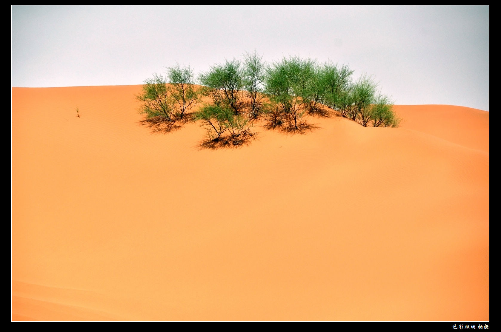 DSC_0185.jpg