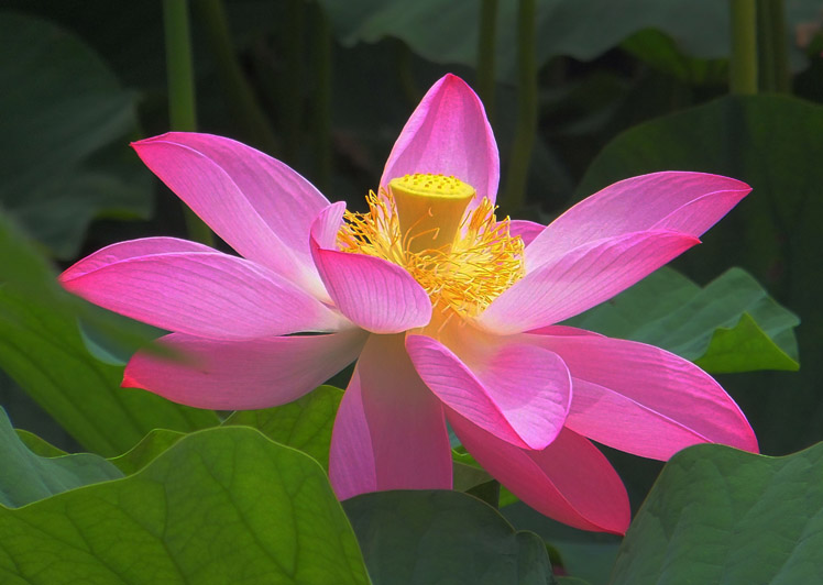 DSCF1541.JPG