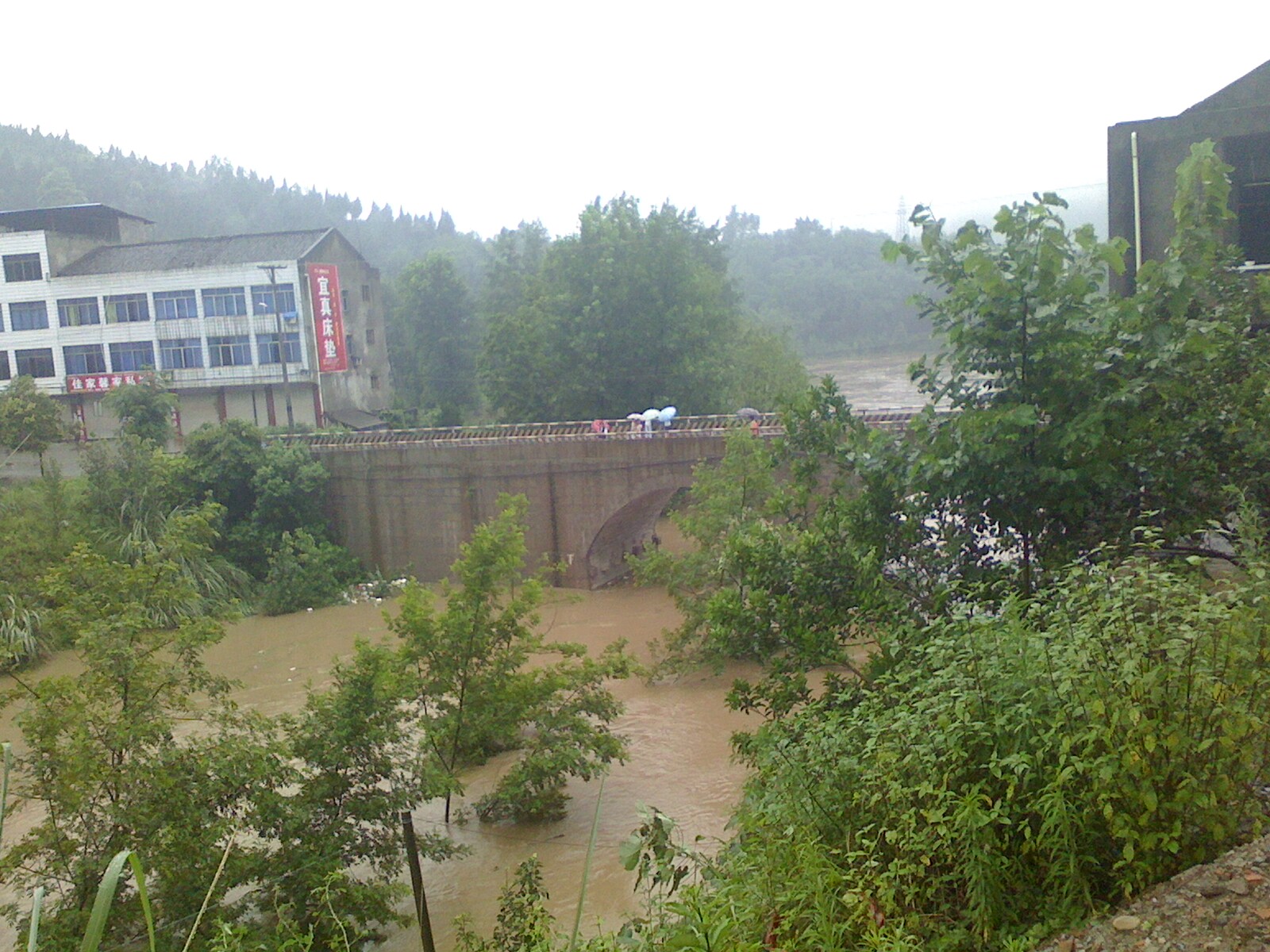 IMG0704172800.jpg