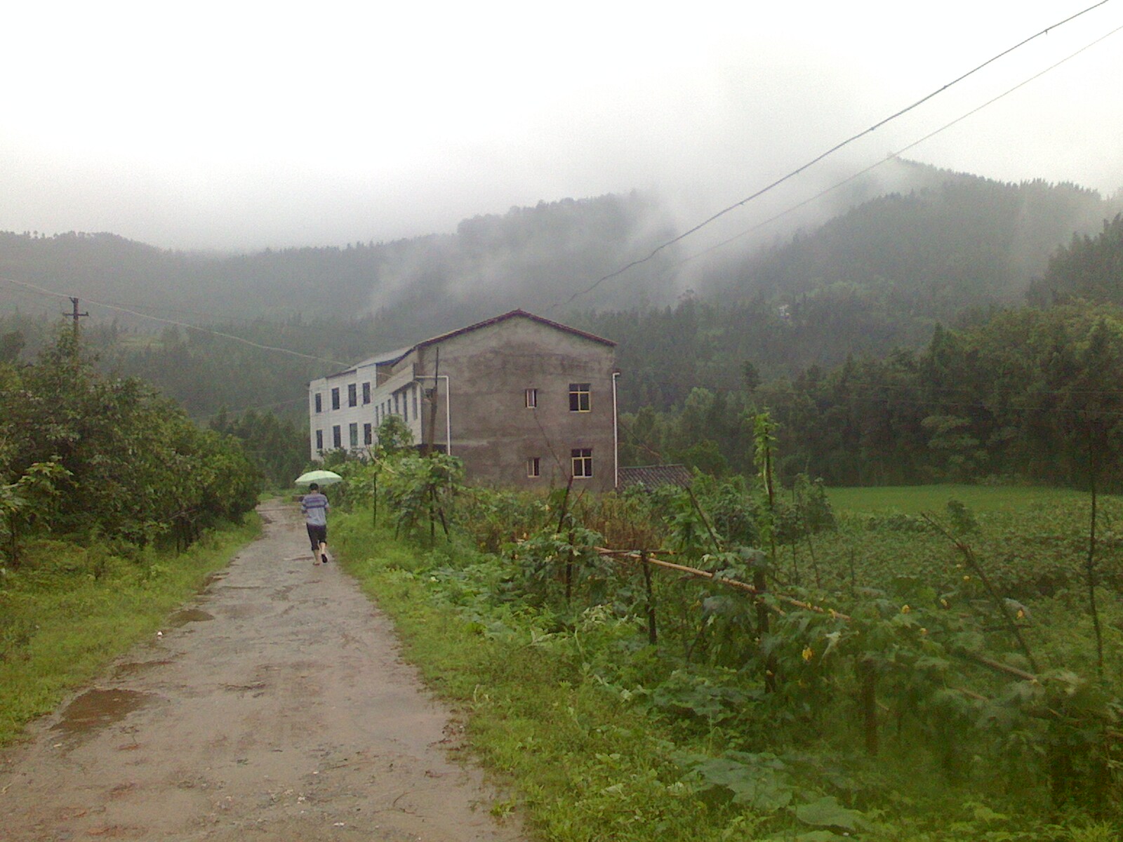 IMG0704173400.jpg