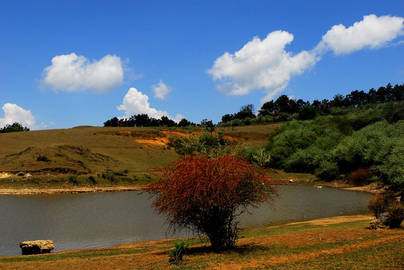 20115494012539.jpg