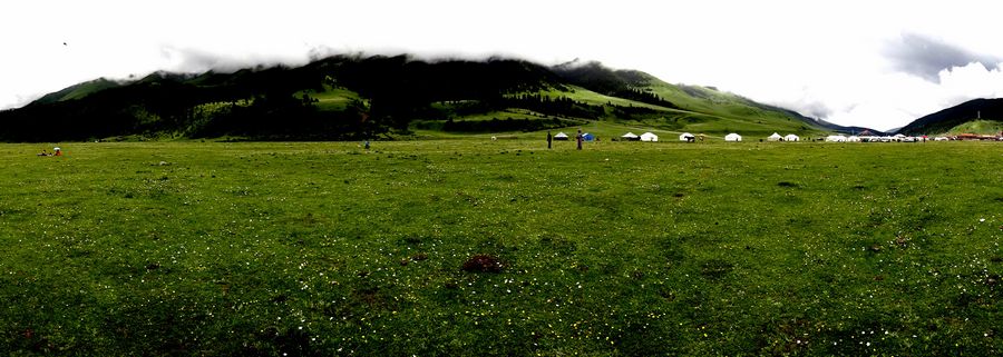 DSC06589.jpg