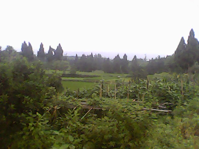 psbCA6CFG60.jpg