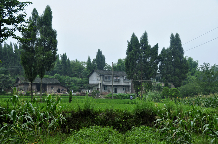 Ƭ 005.jpg