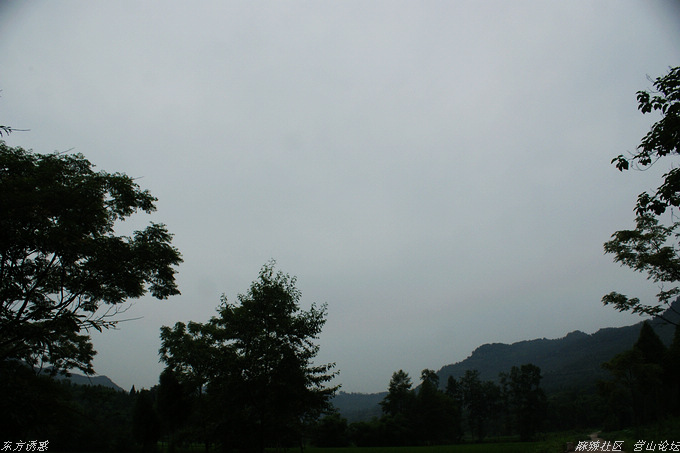 DSC04567.jpg