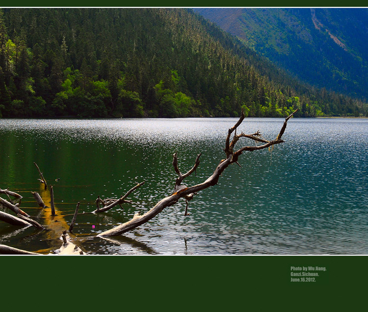 DSC_0307-2.jpg