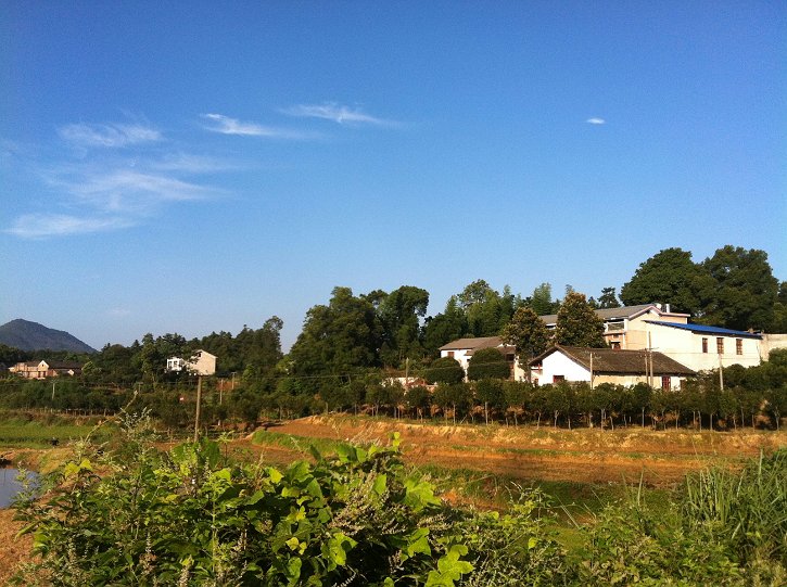 69 大话四川论坛 69 南充论坛 69 农村6年家庭变化,还看农民工