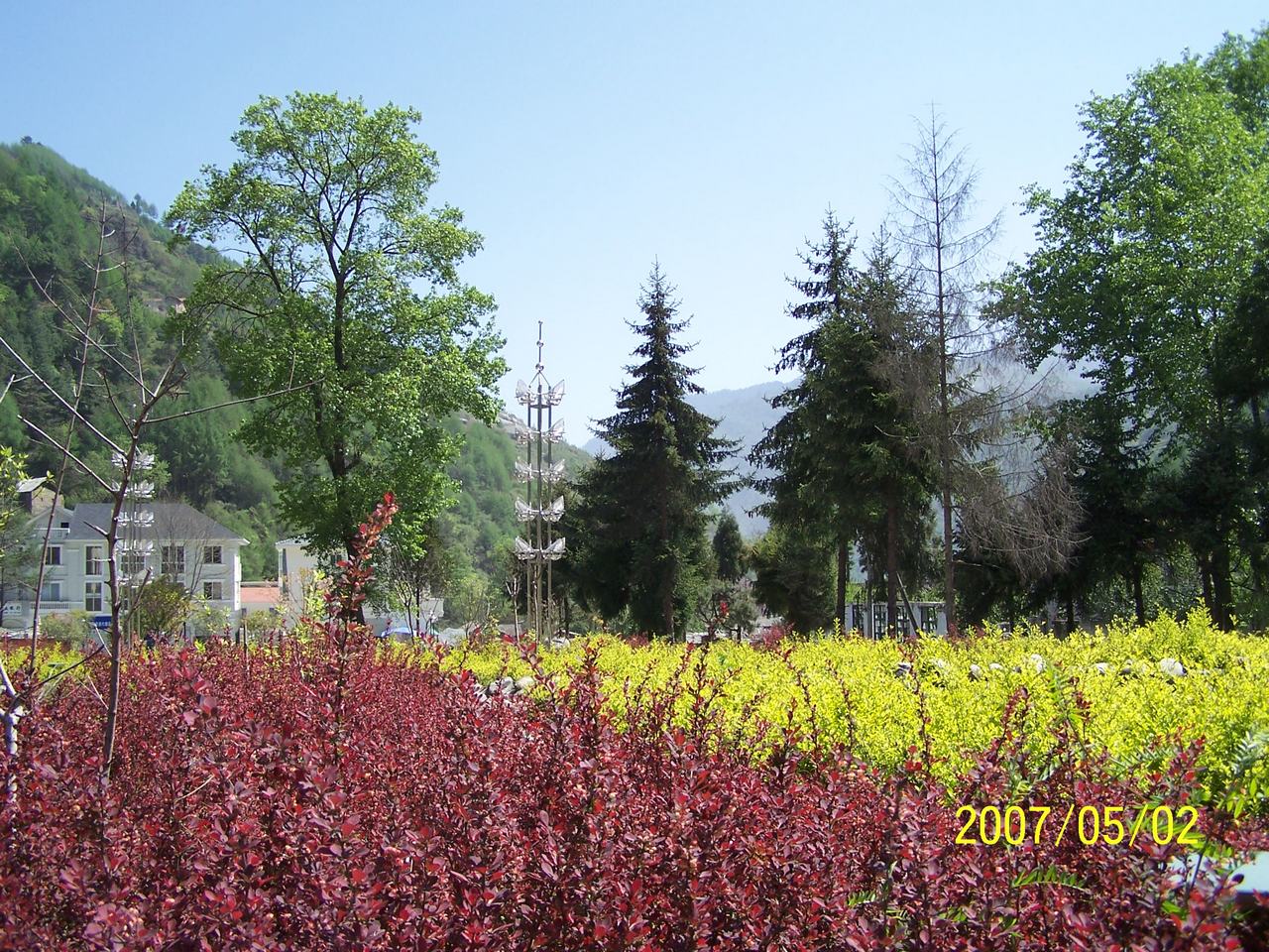 100_1589.JPG