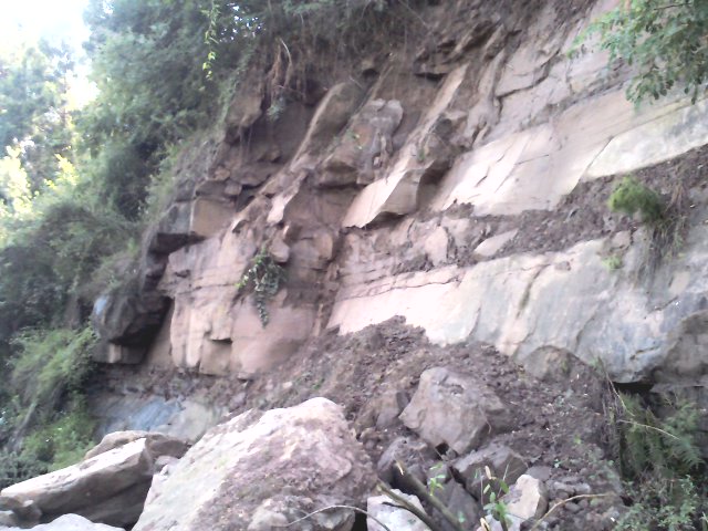 YP20120713161806.jpeg