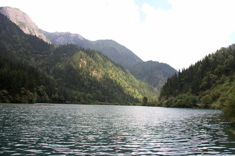 IMG_4563.JPG