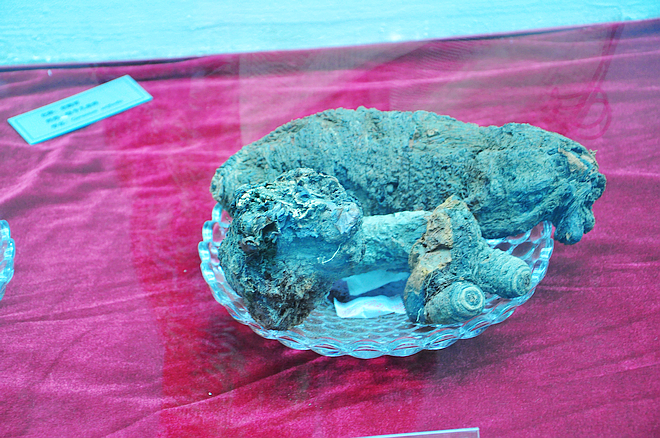 DSC_0227.jpg