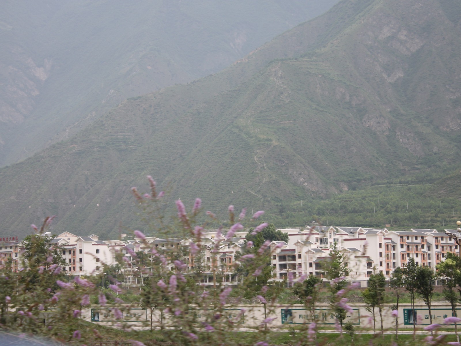 IMG_1788.jpg