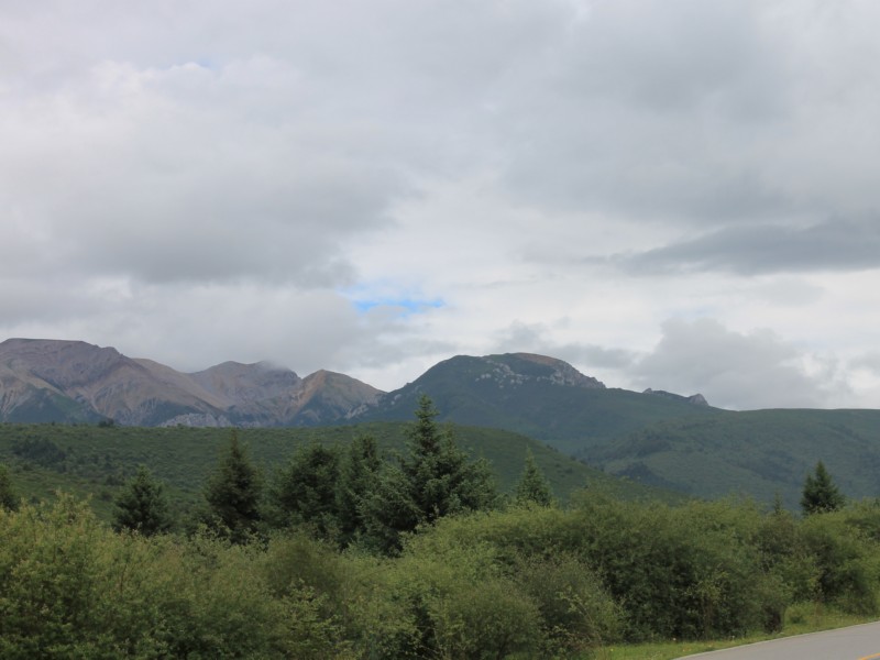 IMG_1894.jpg