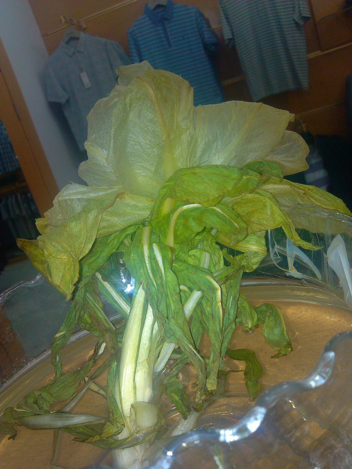 IMG_20120722_202713.JPG