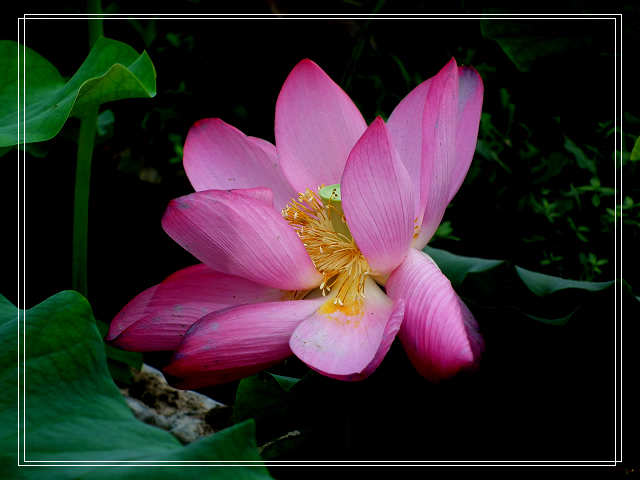 DSCF3598.JPG