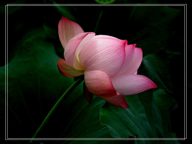 DSCF3619.JPG