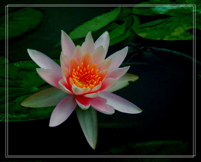 DSCF3707.JPG