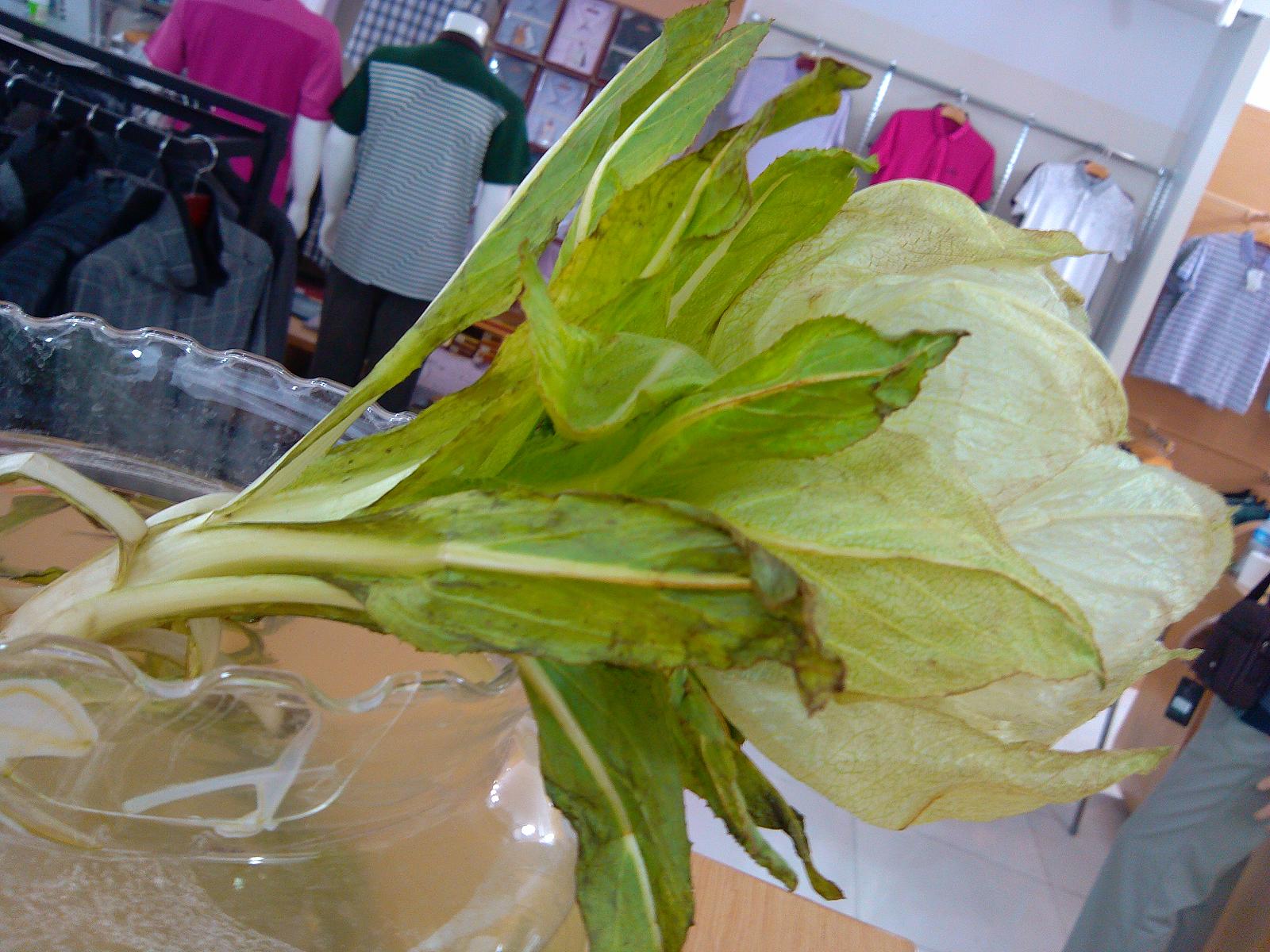 IMG_20120723_102759.JPG