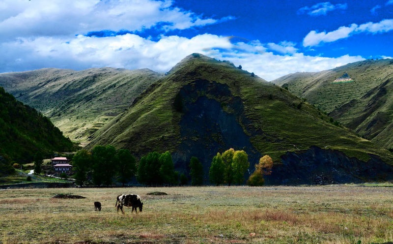 跑马溜溜的山上