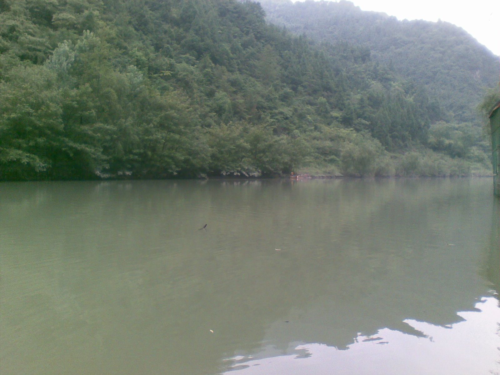 20120717(034).jpg