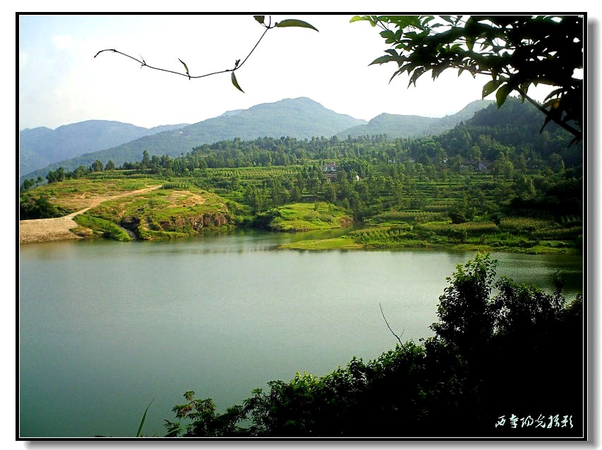 PICT0018_conew2.jpg