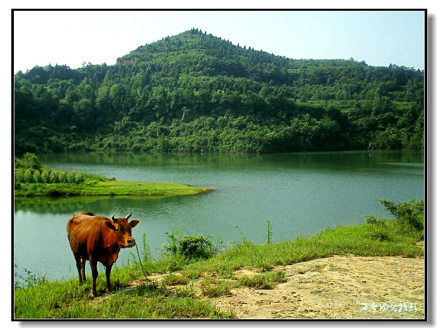 PICT0059_conew1.jpg