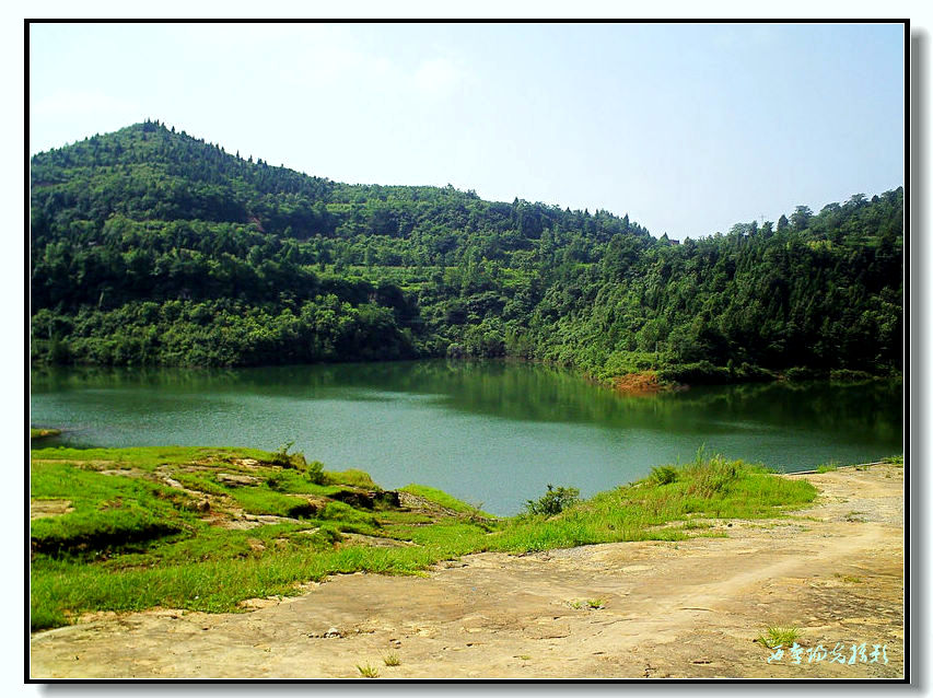 PICT0089_conew1.jpg