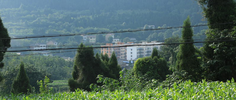 富驿镇随便拍-盐亭论坛-麻辣社区 四川第一网络社区 你的言论 影响