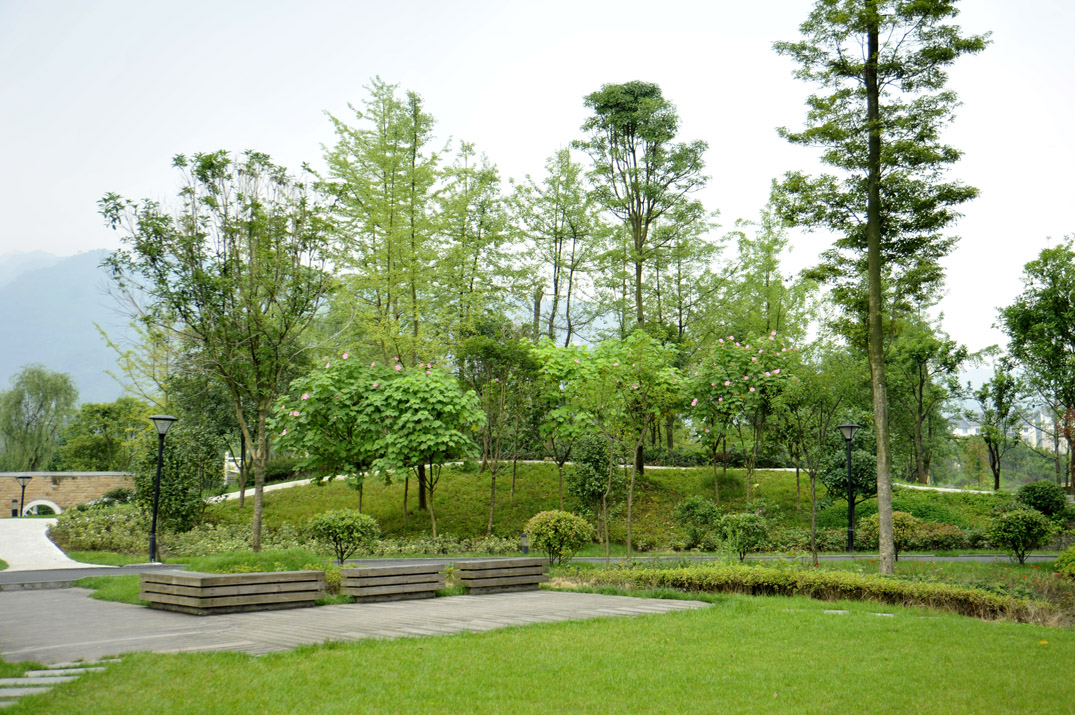 _DSC0183.jpg