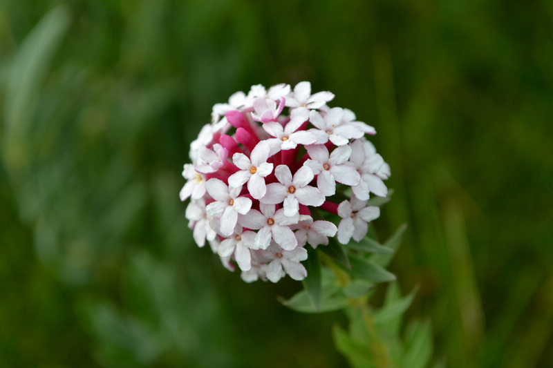 ຣD5 (135).JPG