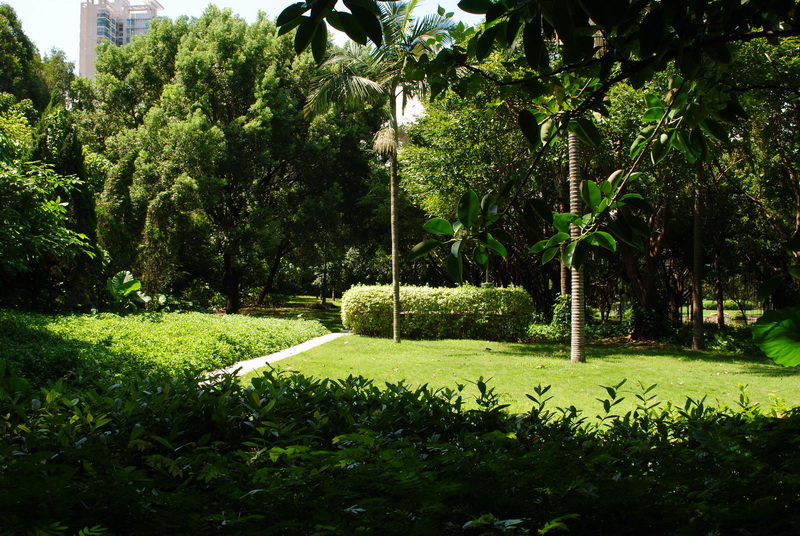 DSC_0002_С.JPG