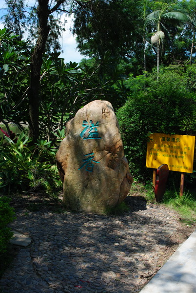 DSC_0007_С.JPG