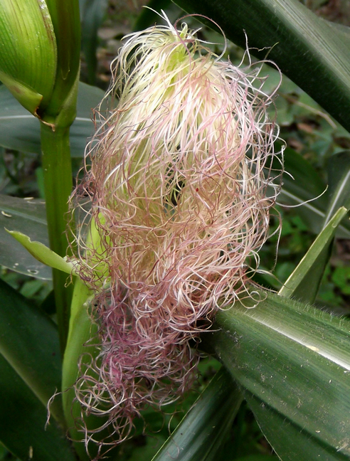 DSCF5780.JPG