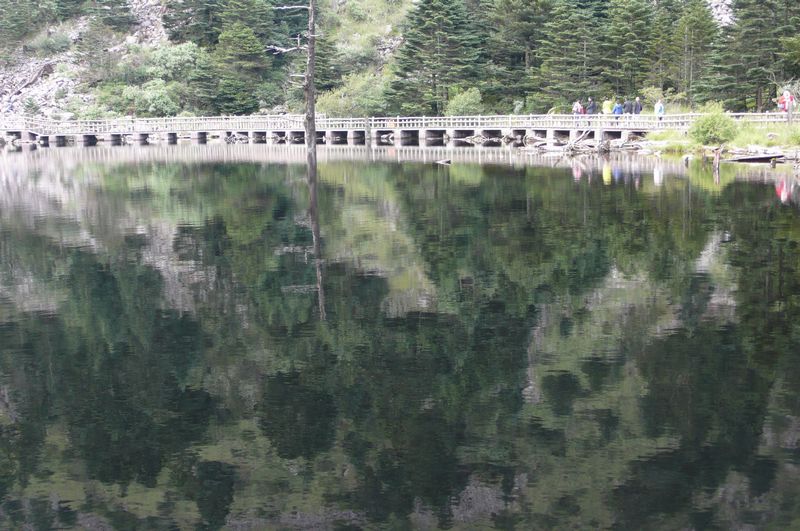 L1250457.JPG