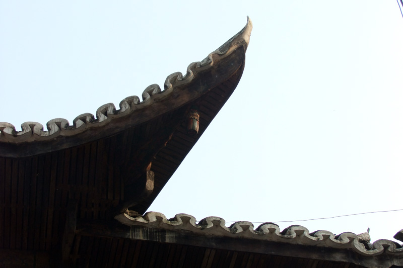 DSCF6525.jpg