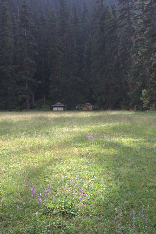 IMG_0663.jpg