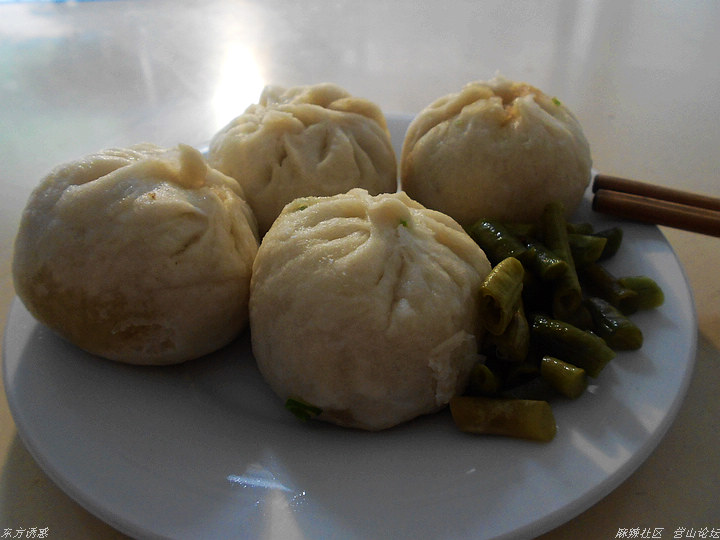 DSCN0480.jpg