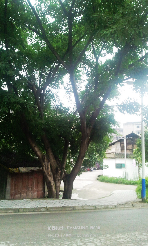 2012-07-07 15.23.49.jpg