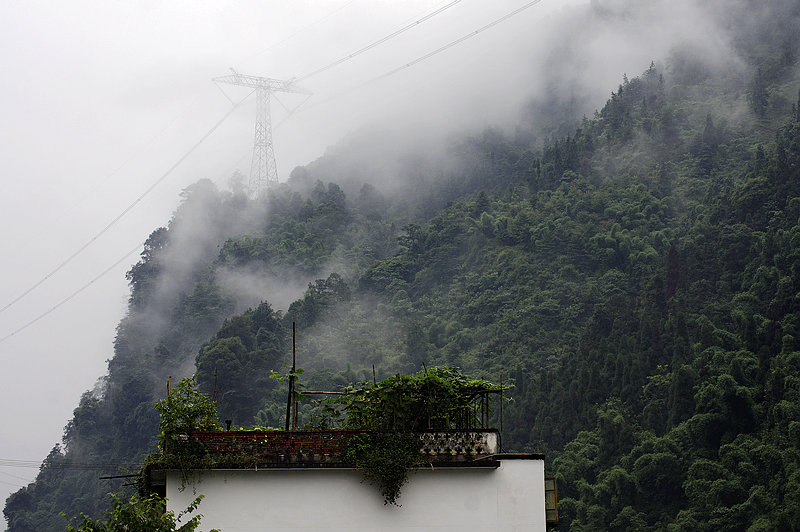 DSC04679ab.jpg