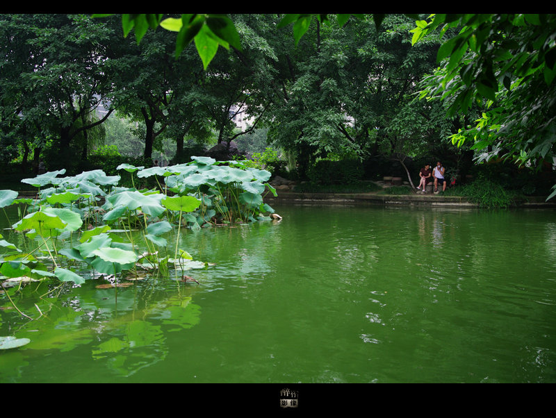 IMGP2308.jpg