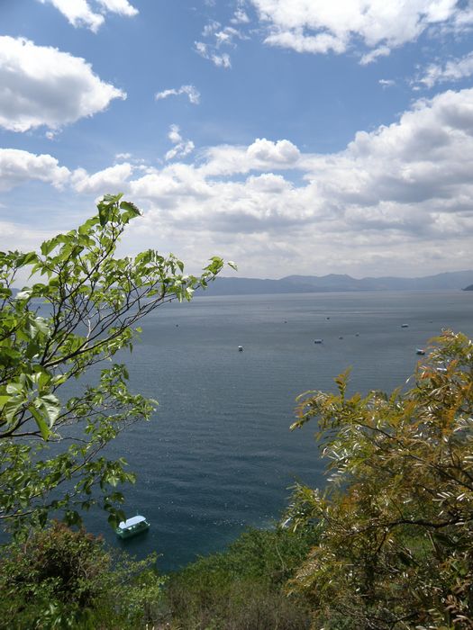 p5020050_ת.jpg
