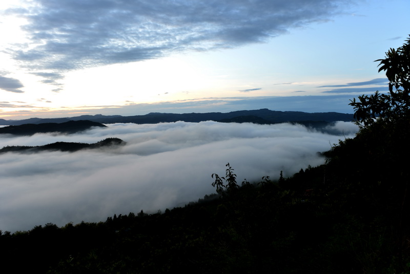 DSC_2953_С.JPG