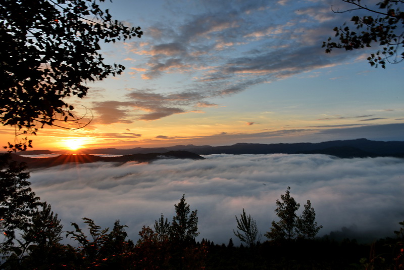DSC_2964_С.JPG